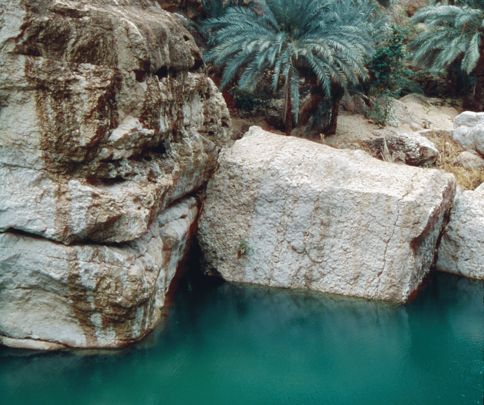 Image 64